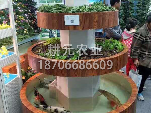 怎樣清洗魚(yú)菜共生廠(chǎng)家的設(shè)備